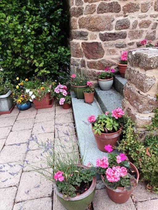 Villa La Cote Du Chat 3* En Bretagne Romantique Hédé Kültér fotó